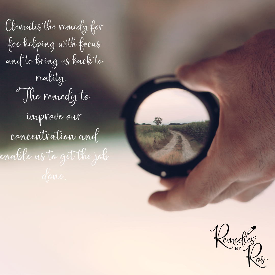 focus and attention to detail